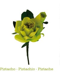 Flores de Flamenca Dulce <b>Color - Pistacho, Talla - P</b>