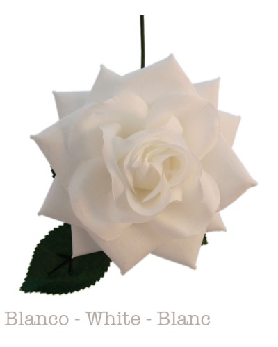 Flor Flamenca, Reina