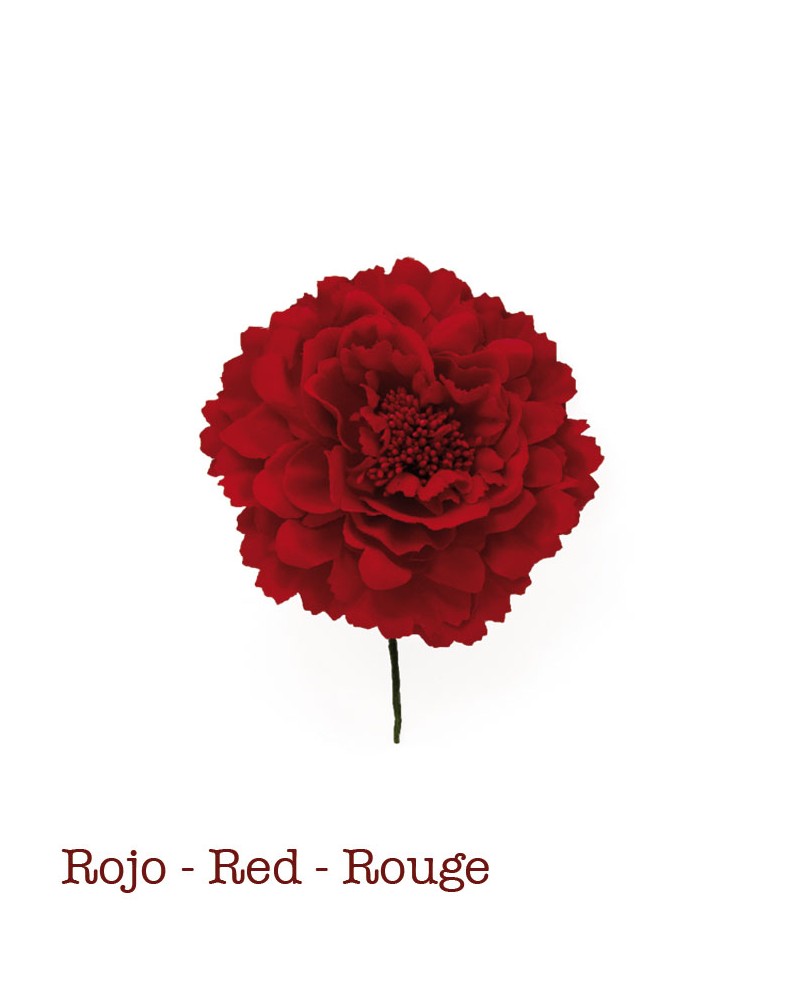 Peonia pequeña