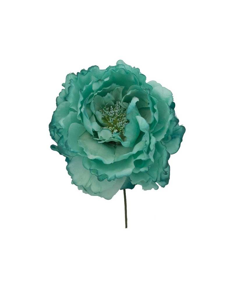 Peonia grande